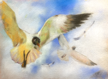 SeagullsinPastels