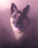 Rex_scan