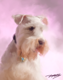 charlie2015final1